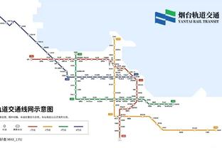 德天空：布兰特落选德国队欧洲杯名单，预计多特队内仅2人入选